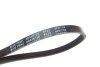Ремінь генератора Ford Transit 2.0 TDCI 00-06/ Jaguar X-Type2.2 05-09/ Nissan Micra 1.3-1.4 92-03 BLUE PRINT AD04R735 (фото 2)