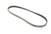 Ремінь генератора Honda Civic VI/ Nissan Primera 1.4-1.6 94-01/ Lexus GS 3.5 12-/ Toyota IQ 1.3 09- BLUE PRINT AD04R800 (фото 5)