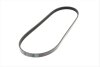Ремень генератора поликлиновый BLUE PRINT AD04R915 (фото 5)