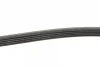 Ремінь генератора Mazda 323/ 626/ Opel Astra G/ Vectra B/C/ Premacy 1.8-2.2 97-08 BLUE PRINT AD05R1030 (фото 2)