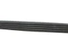Ремінь генератора Renault Kangoo 1.2 97-/ Mitsubishi Colt/ Smart Forfour 1.1-1.5 04-12 BLUE PRINT AD05R915 (фото 2)