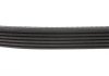 Фото 2 - ремінь генератора Fiat Doblo 1.3D Multijet/ Ducato 2.0JTD 01-/ VW Caddy/ Ford Fiesta 1.25-1.6 95- BLUE PRINT AD06R1180 Ремінь генератора Fiat Doblo 1.3D Multijet/ Ducato 2.0JTD 01-/ VW Caddy/ Ford Fiesta 1.25-1.6 95- BLUE PRINT AD06R1180 (фото 2)