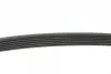 Ремінь генератора Renault Kangoo 1.5 dCi/ Citroen C5/ C6/ C8/ Xantia/ XM Break 2.0-2.2 92- BLUE PRINT AD06R1200 (фото 2)