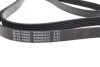 Ремень генератора поликлиновый BLUE PRINT AD06R2215 (фото 2)