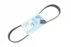 Ремінь генератора Citroen Berlingo/Peugeot Partner 1.6HDI/ Ford Fiesta/ Focus 1.4-1.6 TDCi 01- BLUE PRINT AD06R805 (фото 1)
