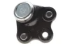Опора кульова (передня/знизу) Toyota Rav 4 18- BLUE PRINT ADBP860172 (фото 3)