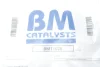 Фільтр сажовий Citroen Jumoy/Peugeot Expert 2.0 HDi 07- (Euro 4) BM CATALYSTS BM11026 (фото 2)