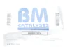 Катализатор вихлопної системи Renault Kangoo/Megane/Dacia Logan 1.5dCi 05- BM CATALYSTS BM80357H (фото 2)