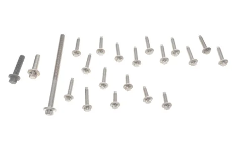 Болт насоса масляного 3 (E90)/5 (F10)/7 (F01-F04)/X5 (E70/F15/F85)/X6 (E71/E72/F16) 09-19 N55 BMW 11412165397