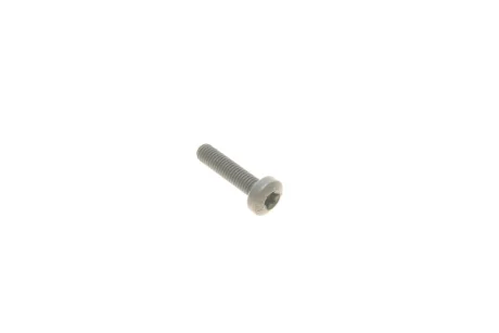 Болт насоса масляного 3 (E90-E93)/5 (F10/F11)/X3 (F25)/X5 (E70) 04- N47 BMW 11417807350