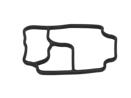 Прокладка корпуса масляного фільтра 3 (E36), 3 (E46), 5 (E34), 5 (E39), 5 (E60), 5 (E61), 7 (E38), 7 (E65, E66, E67), X3 (E83), X5 (E53), Z3 (E36), Z4 (E85) 2.0-3.4 06.87-12.10 BMW 11 42 1 719 855