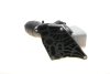 Корпус фільтра масляного BMW 3 (F30/F80)/5 (F10/G30/F90) 2.0D 12- B32/B37/B38/B42/B47 BOGAP B1425104 (фото 7)