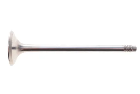 Клапан (випуск) BMW 5 (G30/F90) 2.0 i/3.0 i (B58/N48/N46) 16- Borsehung B10350