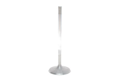 Inlet valve Borsehung B10351