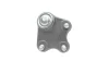 Опора кульова (передня/знизу/R) VW Polo/Skoda Fabia 1.0-2.0 99- BORSEHUNG Borsehung B11339 (фото 2)
