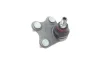 Опора кульова (передня/знизу/R) VW Polo/Skoda Fabia 1.0-2.0 99- BORSEHUNG Borsehung B11339 (фото 4)
