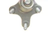 Опора кульова (передня/знизу/R) VW Caddy/Golf/Touran 03- Borsehung B11341 (фото 2)