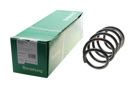 Пружина (передня) VW Caddy 04-/Passat 05-14 (OE VAG) BORSEHUNG Borsehung B12623