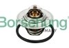 Термостат VW T5/Caddy/Passat 1.6/2.0i 03-15 (от 87-102 ° C) (OE VAG) Borsehung B13140 (фото 1)