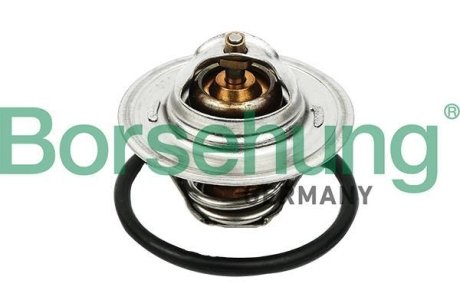 Термостат VW T5/Caddy/Passat 1.6/2.0i 03-15 (от 87-102 ° C) (OE VAG) Borsehung B13140 (фото 1)