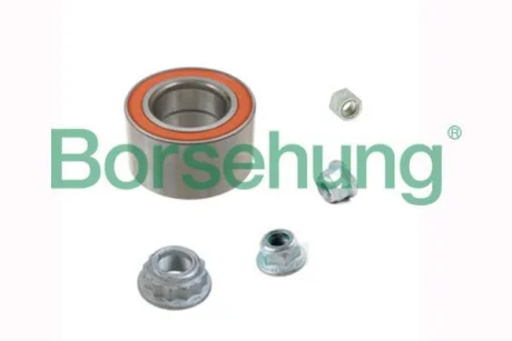 Підшипник маточини комплект з аксесуарами (OE) Borsehung B15959