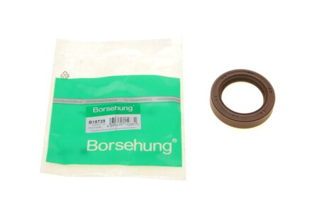 Сальник Borsehung B18729