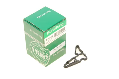 Фільтр помпи оливної Audi A4/A6/A8/Q3/Q5/VW Golf VI/Passat 1.8/2.0 TFSI 08-17 (OE VAG) BORSEHUNG Borsehung B19034