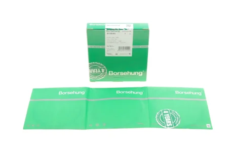 Кільця поршневі VW T4/T5 1.9TDI (79.50mm/STD) (1.75-2-3) (OE VAG) BORSEHUNG Borsehung B19040