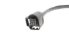Лямбда зонд BMW 3 (F30/F80) 1.6 i (N13) 12-16 BOSCH 0 258 027 005 (фото 5)