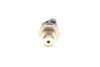 Датчик тиску палива LAND ROVER DEFENDER, DISCOVERY SPORT, DISCOVERY V, RANGE ROVER EVOQUE, RANGE ROVER SPORT II, RANGE ROVER VELAR 2.0D/2.0DH 08.16- BOSCH 0 281 006 117 (фото 2)