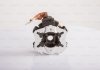 Щіткотримач стартера MB Sprinter (W901-W904) 95-09 (= 1986SE1589) 1 004 336 518 BOSCH 1004336518 (фото 3)