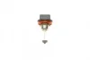 Автолампа H8 12V 35W PGJ19-1 Eco WS BOSCH 1 987 302 805 (фото 4)