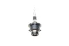 Автолампа D2R 85V 35W P32d-3 Xenon HID BOSCH 1 987 302 903 (фото 5)