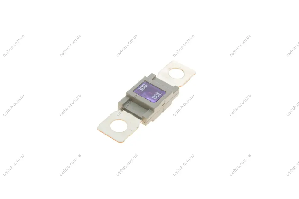 Запобіжник 300А 32V (Гвинтовий) BOSCH 1 987 531 007 (фото 1)