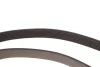 Комплект ременя генератора Renault Megane/Scenic 1.9 dCi/2.0 16V 03- (7PK1125) BOSCH 1 987 600 711 (фото 6)