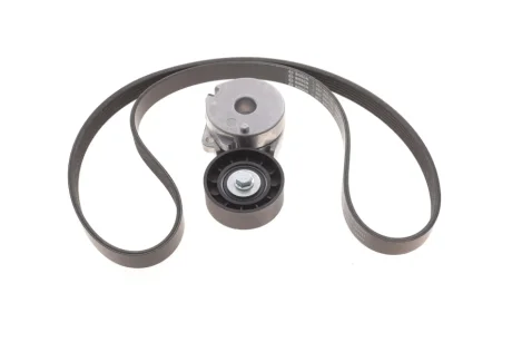 Комплект ременя генератора Renault Megane IV 1.6 TCe 16- (6PK1213) BOSCH 1 987 600 717