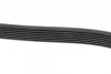 Ремінь генератора Subaru Forester/Legacy/Outback 2.0D 09- (7PK1845) BOSCH 1 987 945 720 (фото 4)