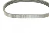 Ремінь генератора VW Golf V/Passat/Touran 1.4TSI 05-/Skoda Fabia 1.4 TSI RS 10-14 (5PK491) BOSCH 1 987 945 731 (фото 5)