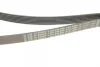 Ремінь генератора VW T4 2.0i 91-03/Opel Vectra A/B 1.6-2.0i (6PK1900) BOSCH 1 987 945 982 (фото 4)