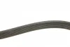 Ремінь генератора VW Caddy 1.9D/SDI -03 (6PK1038) BOSCH 1 987 946 000 (фото 3)