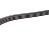 Поліклиновий ремінь (4PK1238) AUDI A4 B5, A6 C5, A8 D2, ALLROAD C5 CITROEN BX RENAULT CLIO II, KANGOO, KANGOO EXPRESS SKODA SUPERB I TOYOTA LAND CRUISER 100 VW PASSAT B5 1.4-4.2D 10.82- BOSCH 1 987 946 003 (фото 3)