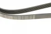 Ремінь генератора Audi A8 3.0i 03-06/Lexus GS/IS 3.0/3.5 00-11/Ford Fiesta 1.25-1.6 94-02 (6PK1930) BOSCH 1 987 946 005 (фото 4)