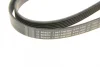 Ремінь генератора Audi A8 3.0i 03-06/Lexus GS/IS 3.0/3.5 00-11/Ford Fiesta 1.25-1.6 94-02 (6PK1930) BOSCH 1 987 946 005 (фото 5)