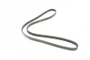 Ремінь генератора Audi A4/A6 2.5TDI 00-05/ Peugeot 205/305/309 1.9-2.5 TD 90-94 (4PK1213) BOSCH 1 987 946 007 (фото 2)