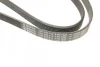 Ремінь генератора VW LT 2.8TDI (-AC) (6PK1635) BOSCH 1 987 946 019 (фото 5)