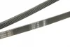 Ремінь генератора VW Passat 1.9TDI 96-00/Audi A4/A6 1.9TDI 95-01 (5PK1592) BOSCH 1 987 946 022 (фото 4)