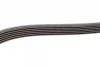 Ремінь генератора MB W202/203/VW/Audi 2.4/2.8i (6PK1760) BOSCH 1 987 946 037 (фото 3)