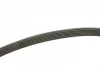 Ремінь генератора Ford Focus 1.4/1.6 98-05/Toyota Rav4 1.8 00-05/Daewoo Nubira 1.8/2.0 99- (6PK1890) BOSCH 1 987 946 039 (фото 3)