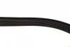 Ремінь генератора VW LT 2.8TDI 116KW (+AC) (6PK2155) BOSCH 1 987 946 041 (фото 4)
