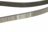 Ремінь генератора VW T4 2.5/2.5TDI 90-03 (6PK2060) BOSCH 1 987 946 042 (фото 4)